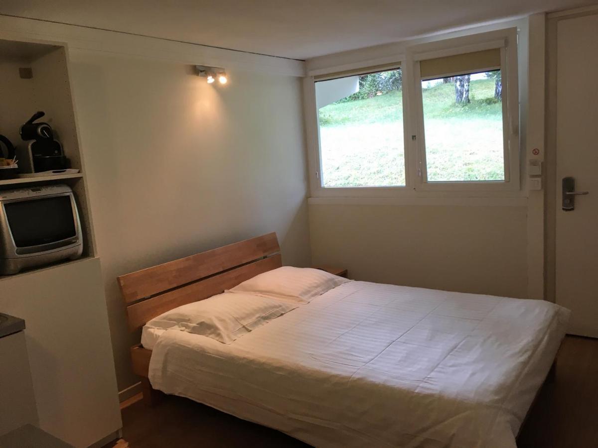 Hotel Pierre Blanche Chatillon-en-Michaille Dış mekan fotoğraf