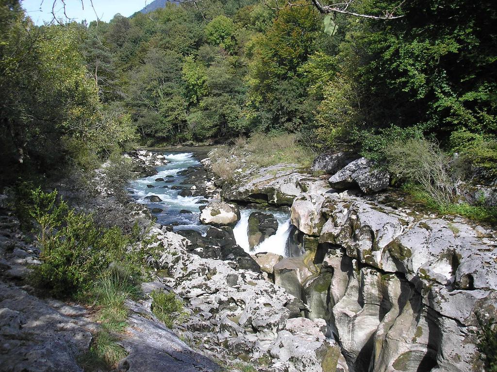 Hotel Pierre Blanche Chatillon-en-Michaille Dış mekan fotoğraf